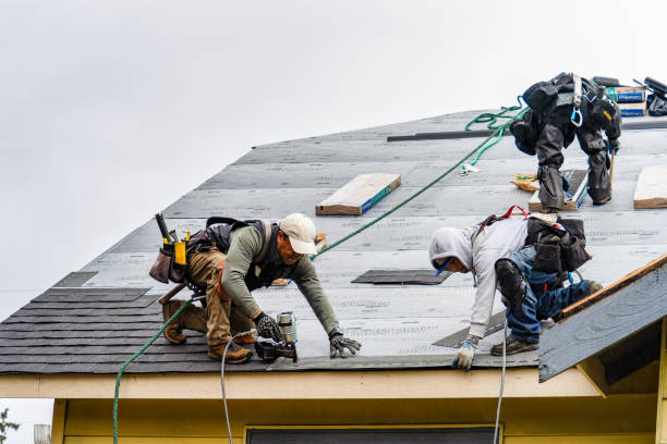 Professional Roof Installation technician working in Plainfield, PA